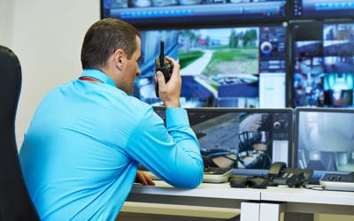 5 Key Indicators Your Business Needs a Security Guard