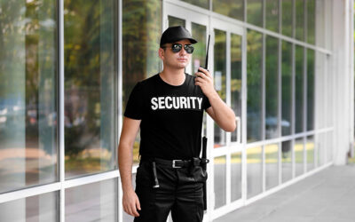 What Makes a Good Security Guard?